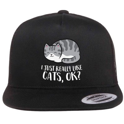 I Just Really Like Cats Gift Flat Bill Trucker Hat