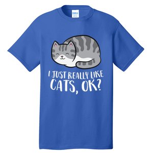 I Just Really Like Cats Gift Tall T-Shirt