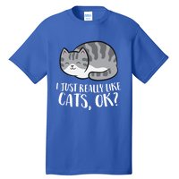 I Just Really Like Cats Gift Tall T-Shirt