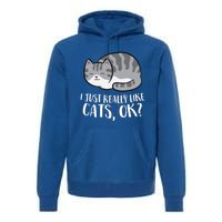 I Just Really Like Cats Gift Premium Hoodie