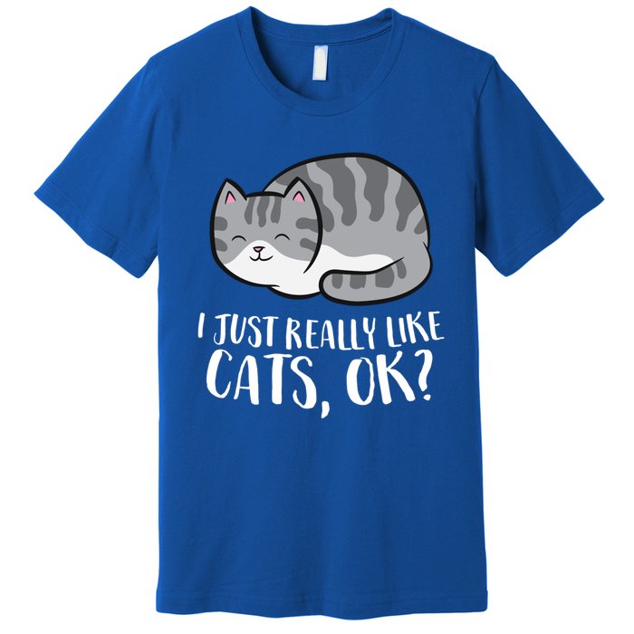 I Just Really Like Cats Gift Premium T-Shirt