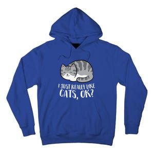 I Just Really Like Cats Gift Tall Hoodie