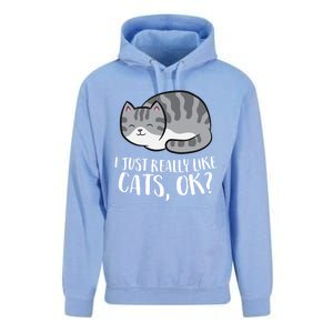 I Just Really Like Cats Gift Unisex Surf Hoodie