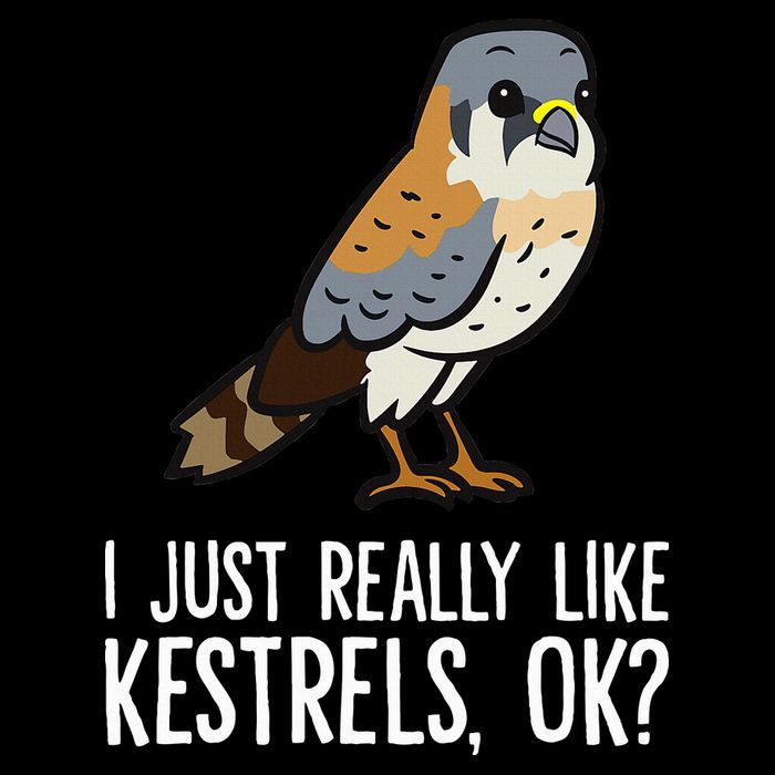 I Just Really Like Kestrels Ok Cute Kestrel Bird Sustainable Bucket Hat