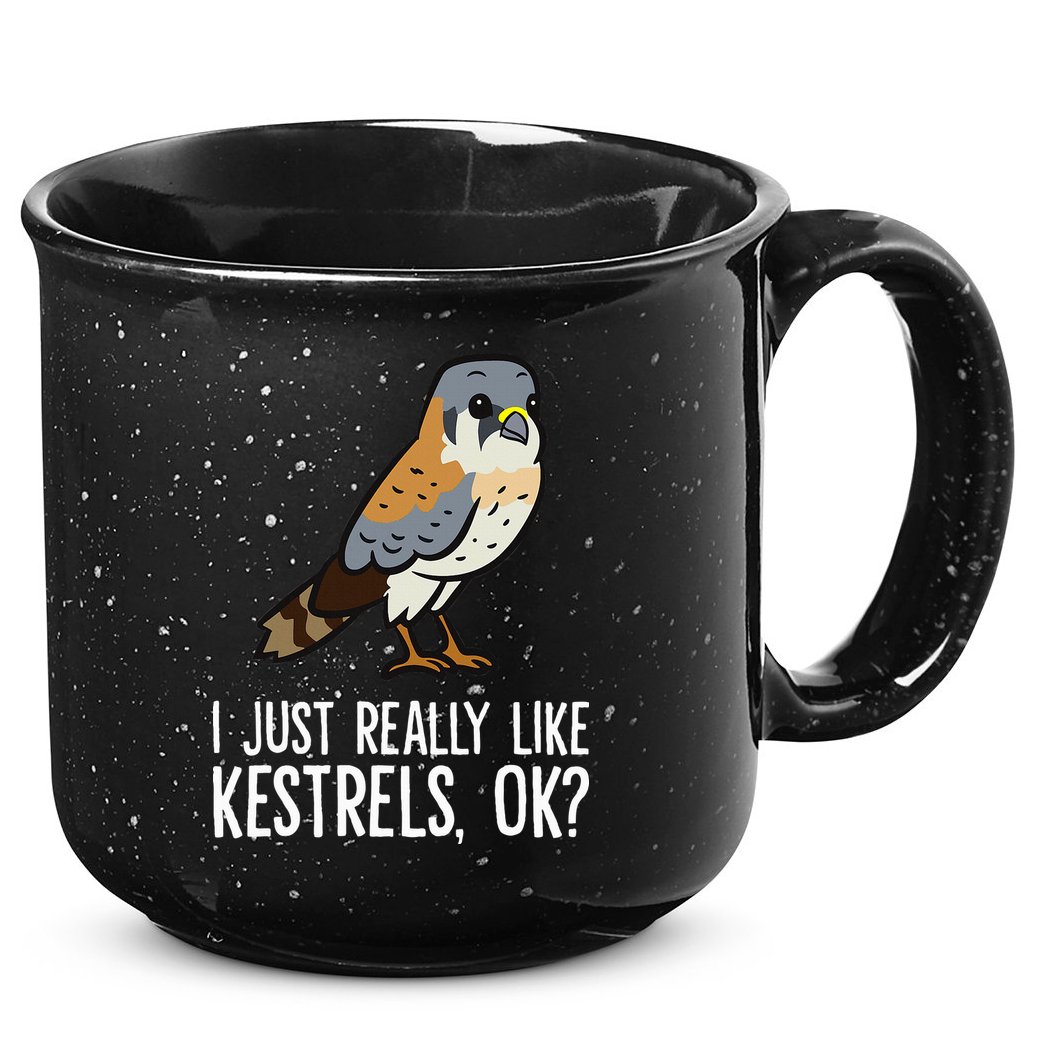 I Just Really Like Kestrels Ok Cute Kestrel Bird 15oz Campfire Ceramic Mug