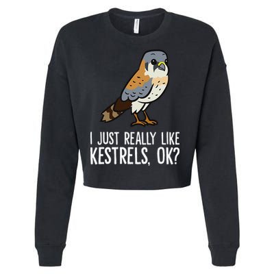 I Just Really Like Kestrels Ok Cute Kestrel Bird Cropped Pullover Crew