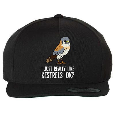 I Just Really Like Kestrels Ok Cute Kestrel Bird Wool Snapback Cap