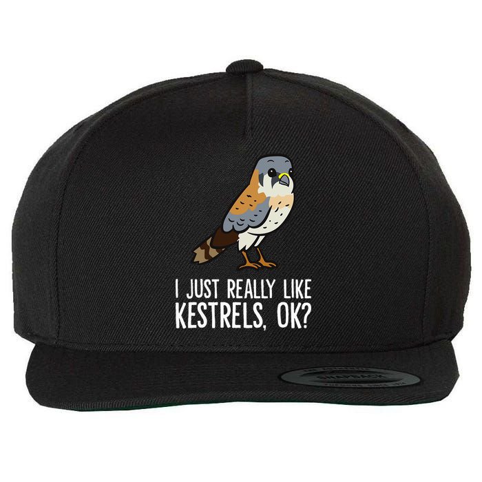 I Just Really Like Kestrels Ok Cute Kestrel Bird Wool Snapback Cap