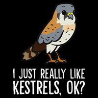 I Just Really Like Kestrels Ok Cute Kestrel Bird Wool Snapback Cap