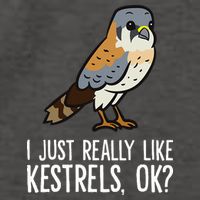 I Just Really Like Kestrels Ok Cute Kestrel Bird Vector Backpack