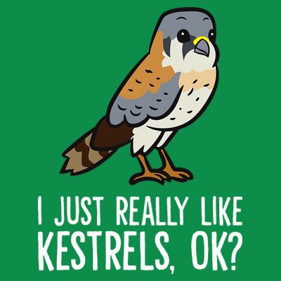 I Just Really Like Kestrels Ok Cute Kestrel Bird T-Shirt