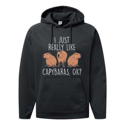 I Just Really Like Capybaras Ok – Rodent Pet Owner Carpincho Performance Fleece Hoodie