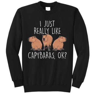 I Just Really Like Capybaras Ok – Rodent Pet Owner Carpincho Sweatshirt