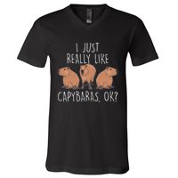 I Just Really Like Capybaras Ok – Rodent Pet Owner Carpincho V-Neck T-Shirt