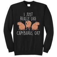 I Just Really Like Capybaras Ok – Rodent Pet Owner Carpincho Tall Sweatshirt