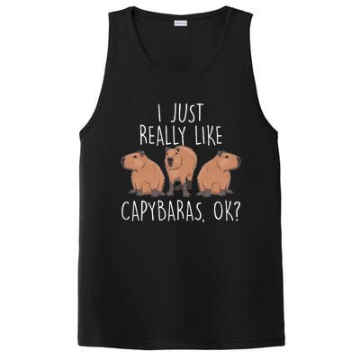 I Just Really Like Capybaras Ok – Rodent Pet Owner Carpincho PosiCharge Competitor Tank