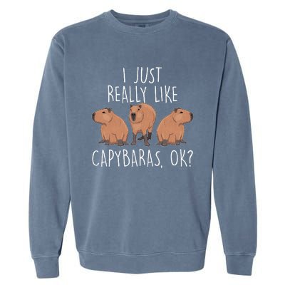 I Just Really Like Capybaras Ok – Rodent Pet Owner Carpincho Garment-Dyed Sweatshirt