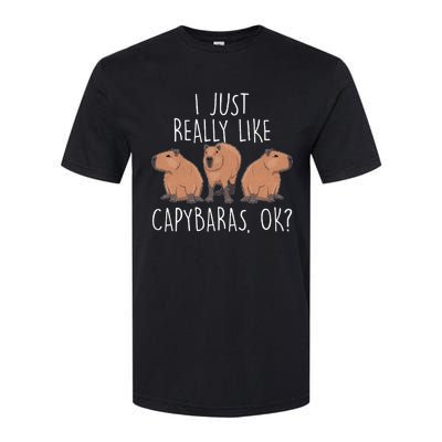 I Just Really Like Capybaras Ok – Rodent Pet Owner Carpincho Softstyle CVC T-Shirt