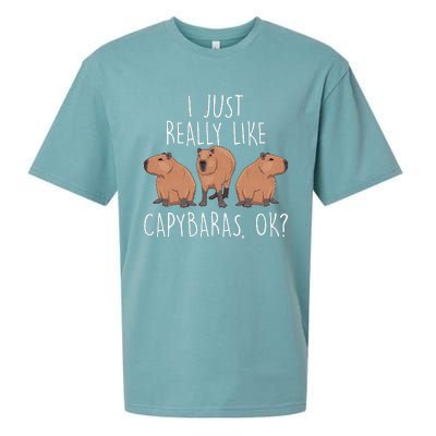 I Just Really Like Capybaras Ok – Rodent Pet Owner Carpincho Sueded Cloud Jersey T-Shirt