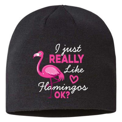 I Just Really Love Flamingo Ok Funny Sustainable Beanie