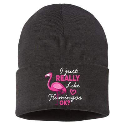 I Just Really Love Flamingo Ok Funny Sustainable Knit Beanie