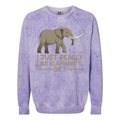 I Just Really Like Elephants Ok Funny Elephant Colorblast Crewneck Sweatshirt