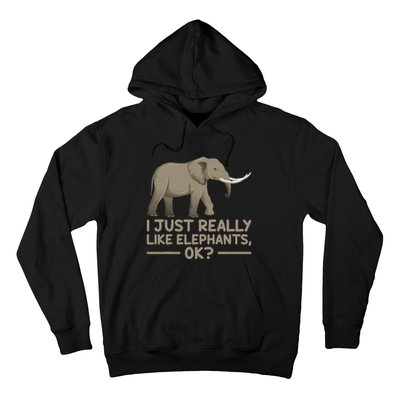 I Just Really Like Elephants Ok Funny Elephant Hoodie