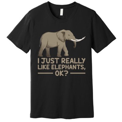 I Just Really Like Elephants Ok Funny Elephant Premium T-Shirt