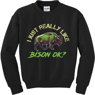 I Just Really Like Bison OK? Kids Sweatshirt