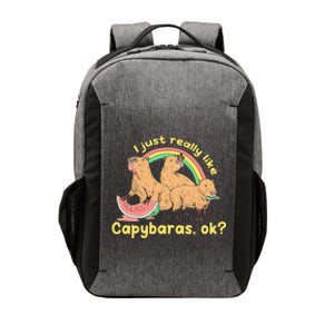 I Just Really Like Capybaras Ok Capybara Lover Funny Vector Backpack