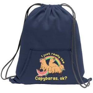 I Just Really Like Capybaras Ok Capybara Lover Funny Sweatshirt Cinch Pack Bag