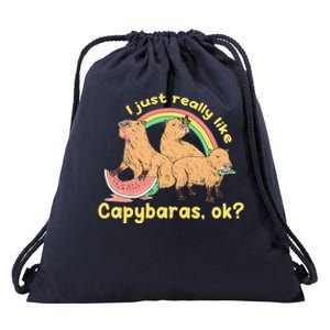 I Just Really Like Capybaras Ok Capybara Lover Funny Drawstring Bag