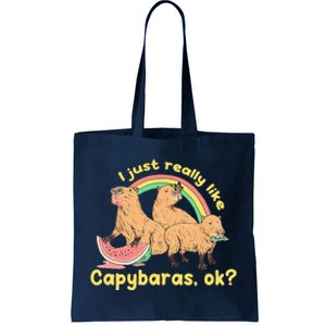 I Just Really Like Capybaras Ok Capybara Lover Funny Tote Bag