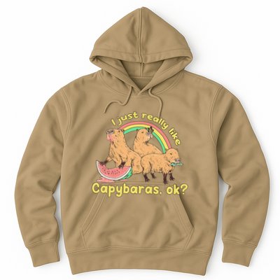 I Just Really Like Capybaras Ok Capybara Lover Funny Hoodie