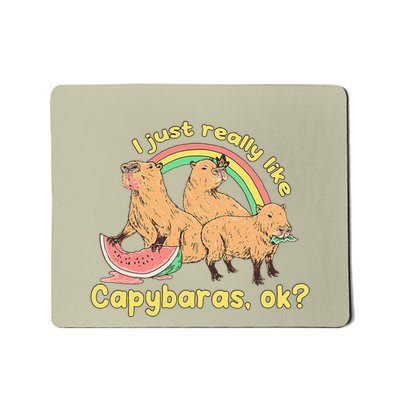 I Just Really Like Capybaras Ok Capybara Lover Funny Mousepad