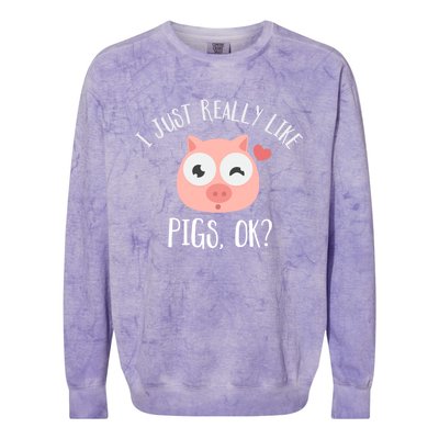 I Just Really Like Pigs Ok Cool Gift Colorblast Crewneck Sweatshirt