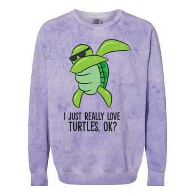 I Just Really Love Turtles Ok? Dabbing Turtle Gift Colorblast Crewneck Sweatshirt