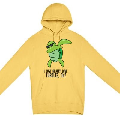 I Just Really Love Turtles Ok? Dabbing Turtle Gift Premium Pullover Hoodie