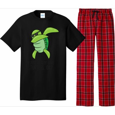 I Just Really Love Turtles Ok? Dabbing Turtle Gift Pajama Set