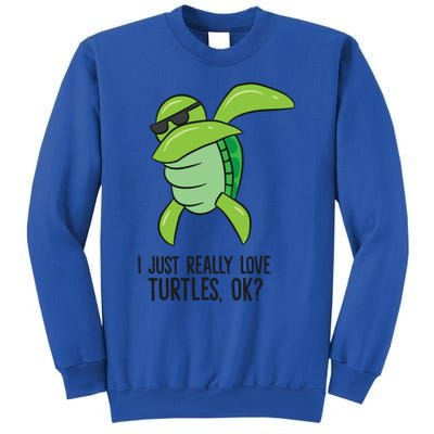 I Just Really Love Turtles Ok? Dabbing Turtle Gift Sweatshirt