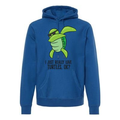 I Just Really Love Turtles Ok? Dabbing Turtle Gift Premium Hoodie