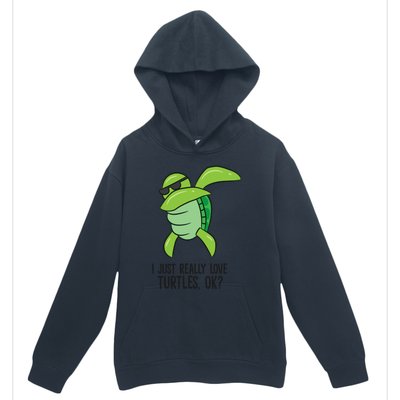 I Just Really Love Turtles Ok? Dabbing Turtle Gift Urban Pullover Hoodie