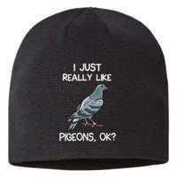 I Just Really Like Pigeons Ok Owner Lover Gift Pigeon Sustainable Beanie