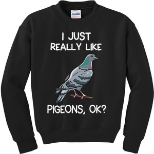 I Just Really Like Pigeons Ok Owner Lover Gift Pigeon Kids Sweatshirt