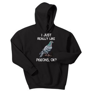 I Just Really Like Pigeons Ok Owner Lover Gift Pigeon Kids Hoodie