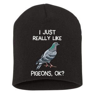 I Just Really Like Pigeons Ok Owner Lover Gift Pigeon Short Acrylic Beanie