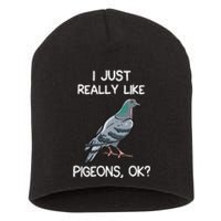 I Just Really Like Pigeons Ok Owner Lover Gift Pigeon Short Acrylic Beanie