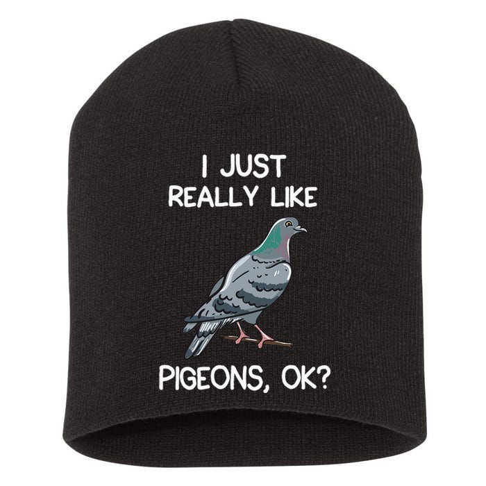 I Just Really Like Pigeons Ok Owner Lover Gift Pigeon Short Acrylic Beanie