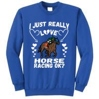 I Just Really Love Horse Racing Funny Horses Lovers Sports Cool Gift Sweatshirt