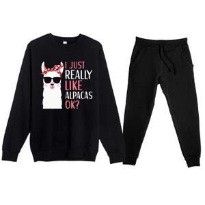 I Just Really Like Alpacas LLama Apparel Premium Crewneck Sweatsuit Set